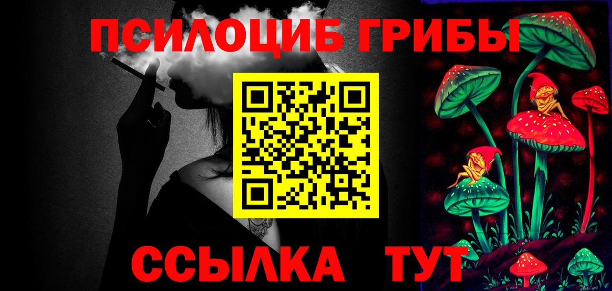 Жуковский  Галлюциногенные грибы Psilocybine cubensis  Вход с VPN 